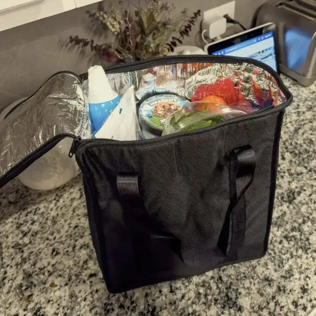Strolee Insulated Organizer Bag