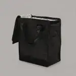 Strolee Insulated Freezer Bag